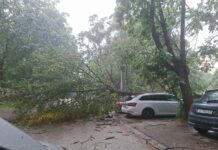 ФОТО: Невремето покоси дрвја и кровови во Скопје