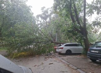 ФОТО/ВИДЕО: Силно невреме во Скопје, паѓаа дрвја и летаа кровови