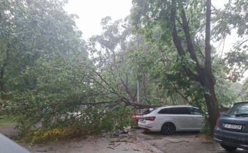 ФОТО/ВИДЕО: Силно невреме во Скопје, паѓаа дрвја и летаа кровови