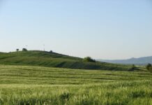 Старите книги за бакарното гумно во Овче Поле