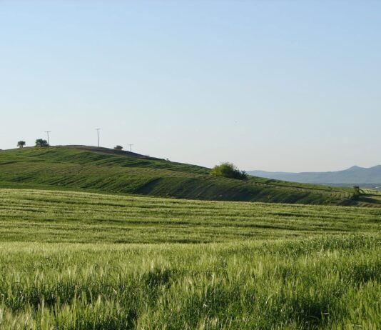 Старите книги за бакарното гумно во Овче Поле