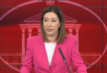 Гиновска: Дивиот приклучок кај гостиварскиот водовод бил надвор од дозволата, не е побарано одобрение од Министерството