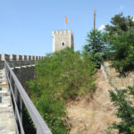 Патописите на Евлија Челеби и записите за Македонија (прв дел)