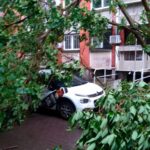 Невремето во Македонија низ бројки
