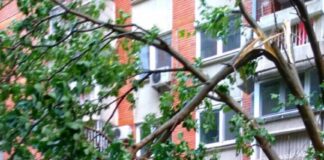 Невремето во Македонија низ бројки