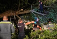 Силно невреме го погоди Стар Дојран: Откорнати десетици дрвја, оштетени возила и објекти