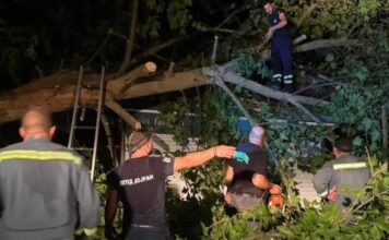 Силно невреме го погоди Стар Дојран: Откорнати десетици дрвја, оштетени возила и објекти
