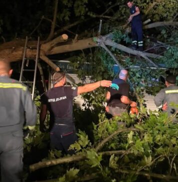 Силно невреме го погоди Стар Дојран: Откорнати десетици дрвја, оштетени возила и објекти