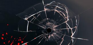 Гангстерски квинтет (7)
