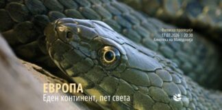 Во светот постојат околу 3.600 вида змии, од кои 16 има во Македонија