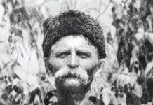 Една случајна трага што ме одведе до Журче