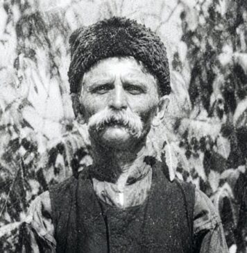 Една случајна трага што ме одведе до Журче