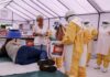 Ebola Kongo