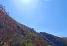 Струмички пожарникари спасиле мајка и дете паднати во провалија кај манастирот „Св. Илија“