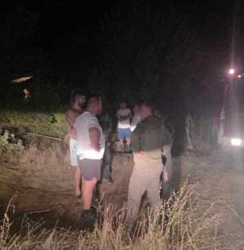 Избегната катастрофа во Зелениково, пожар во 2 часот по полноќ се приближил кон куќите