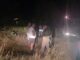 Избегната катастрофа во Зелениково, пожар во 2 часот по полноќ се приближил кон куќите
