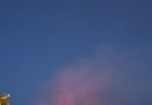 Пожарот во Националниот парк „Пелистер“ локализиран, противпожарни единици цела ноќ на терен