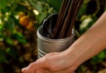 Аминокиселини што го стимулираат природното производство на колаген