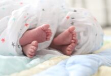 Еден случај на 15 милиони: Неверојатната приказна за идентичните четворки зачнати по природен пат