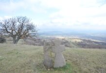 Битката во младата дабова шума кај Ѓуришкиот манастир во 1903 година