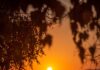 Охридско зајдисонце на Александар Костадинов – ФОТОГРАФИЈА НА НЕДЕЛАТА