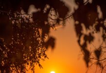 Охридско зајдисонце на Александар Костадинов – ФОТОГРАФИЈА НА НЕДЕЛАТА