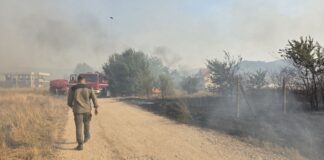 Ангелов: Избегната катастрофа во прилепско Бонче, пожарот се приближил до куќите