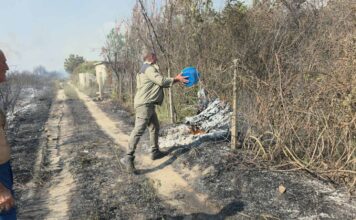 ЦУК: 31 пожар на отворен простор во изминатото деноноќие, осум активни
