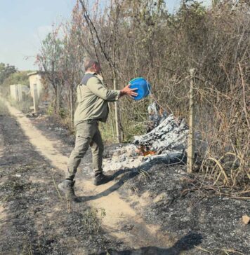 ЦУК: 31 пожар на отворен простор во изминатото деноноќие, осум активни