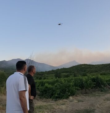 Повторно се разгоре пожарот во боровата шума над Ногаевци, на терен три екипи пожарникари