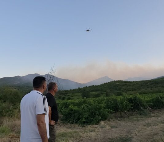 Повторно се разгоре пожарот во боровата шума над Ногаевци, на терен три екипи пожарникари