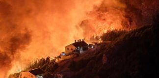 Во пожарот кај Омиш изгореа 106 возила, 28 куќи и 45 пловила