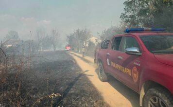 Големиот пожар во струмичко е ставен под контрола