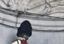 Кога Македонија стои исправено, светот ја препознава и уважува