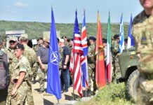Кога наднационалните амбиции ја пробиваат границата на националниот интерес