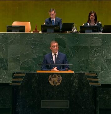 Малите држави не можат да живеат во свет во кој правилата зависат од моќта