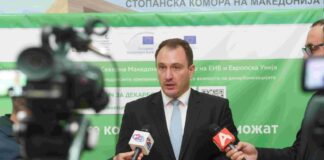 Од шест месеци до една година за неопходните законски измени за МВР да ги прифаќа дигиталните лични карти и возачки дозволи