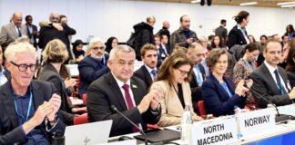 Превенцијата и дигиталната трансформација меѓу приоритетите на македонското здравство, истакна Клековски во Копенхаген