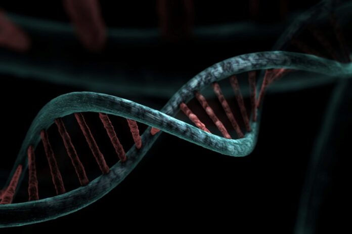 mirerek8-dna-6517210_1920
