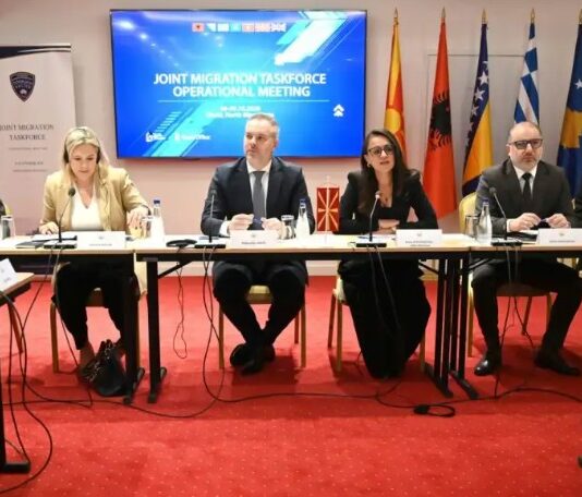 Царината спречила влез на 246 илегални мигранти од јули 2024 година, информираше Николовски