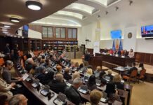 Слепите лица бараат признавање на факсимилот и подобра пристапност до превозот и дигиталните услуги